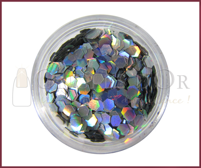 Big Hexagons Glitter Powder – Silver Hologram