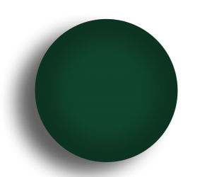 D.J. UV Gel Color Forest Green #78 (1/2 oz.)