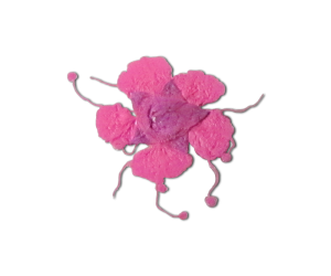 Decorative Dried Flowers Fluorescent Pink model 1