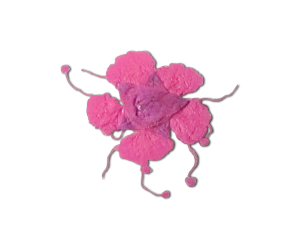 Decorative Dried Flowers Fluorescent Pink model 1