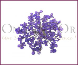 Decorative Dried Flowers Model 2 color Purple
