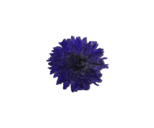 Decorative Dried Flowers Model 3 color Violet