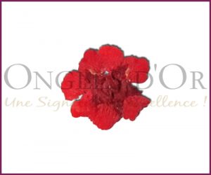 Decorative Dried Flowers model 1 Cherry Red