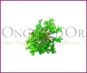 Decorative Dried Flowers model 2 Color Lime Green