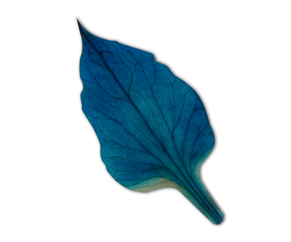 Decorative Dried Flowers model 3 Color Turquoise (Blue)