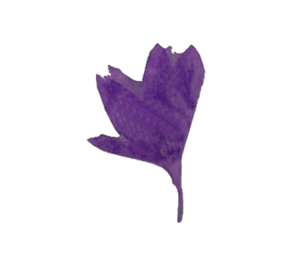 Decorative Dried Flowers model 7 color Purple