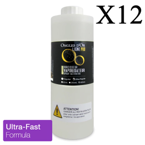 Ligne Pro Spray Activator Ultra-Fast Formula 500 mL (12 pcs)