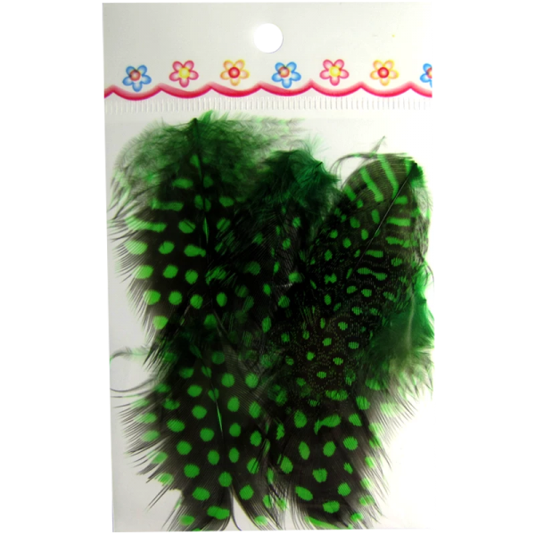 Ornaments Feathers Black / Green (PDNVE)