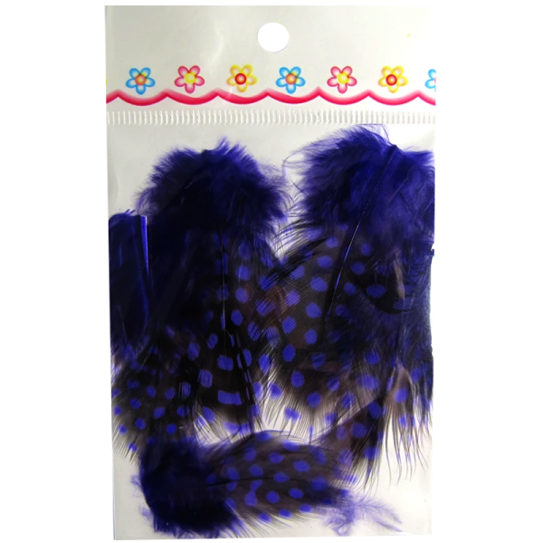 Ornaments Feathers Black / Purple (PDNVI)