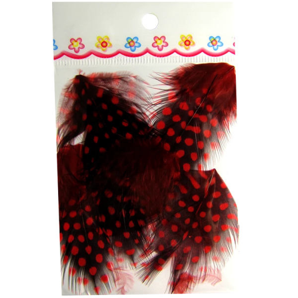 Ornaments Feathers Black / Red Cherry (PDNRC)