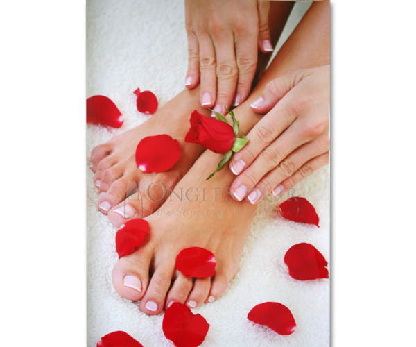 Poster – Hands, Feet and Rose Petals (60 x 90 cm)