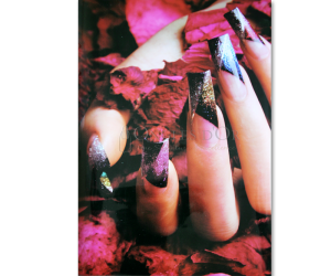 Poster - Nail and Rose Petals (60 x 90 cm)