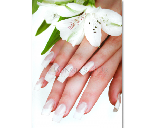 Poster – Nail and White Flower (60 x 90 cm)