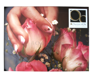 Poster - Ongles d'Or Pink Roses (17 x 22.75 inches)