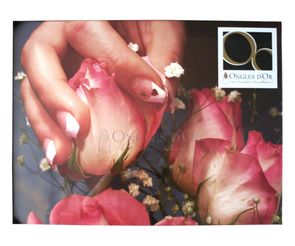 Poster – Ongles d'Or Pink Roses (17 x 22.75 inches)