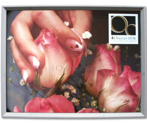 Poster - Ongles d'Or Pink Roses (18 x 24 inches) - Framed