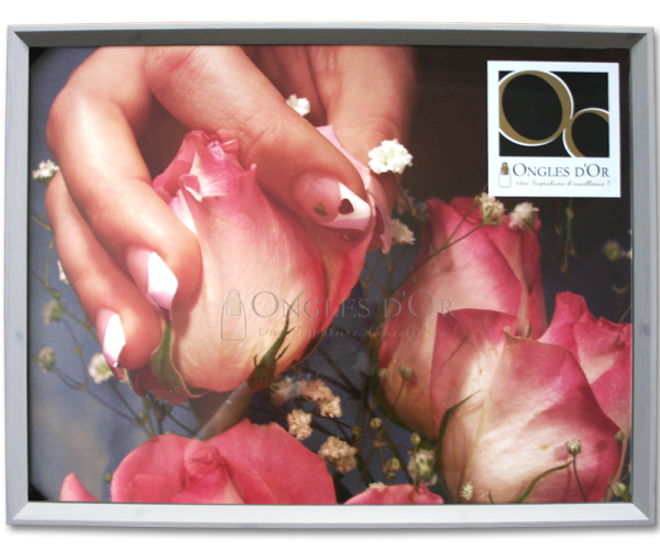 Poster – Ongles d'Or Pink Roses (18 x 24 inches) – Framed