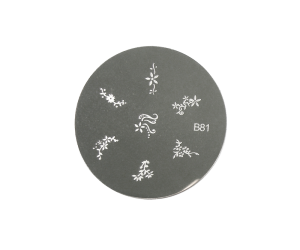 Stamping Image Plate B81